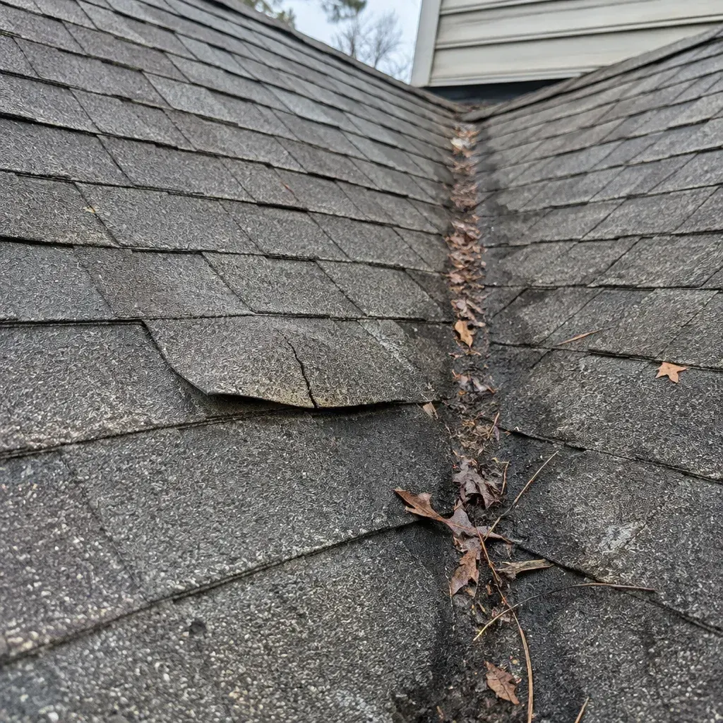 Bethlehem Roof Leak Repair: Roof or Plumbing?